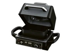 Ahumador y barbacoa eléctrica