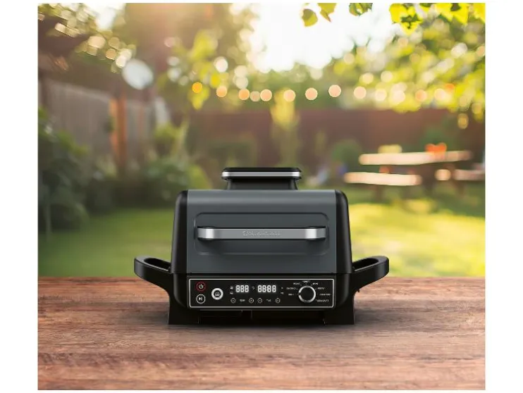 Ahumador y barbacoa eléctrica