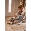 Arnés para perro