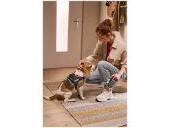 Arnés para perro