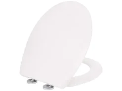 Asiento de inodoro