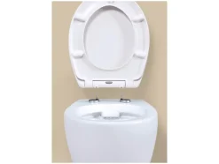 Asiento de inodoro