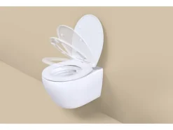 Asiento de inodoro