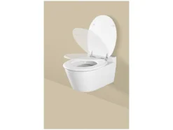 Asiento de inodoro