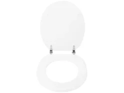 Asiento de inodoro