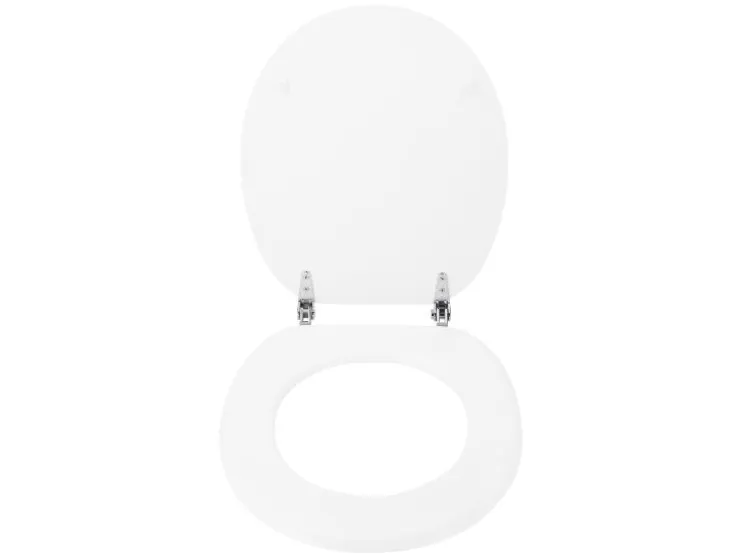 Asiento de inodoro