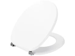 Asiento de inodoro