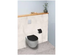 Asiento de inodoro de duroplasto