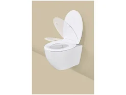 Asiento de inodoro de duroplast