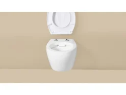 Asiento de inodoro de duroplástico