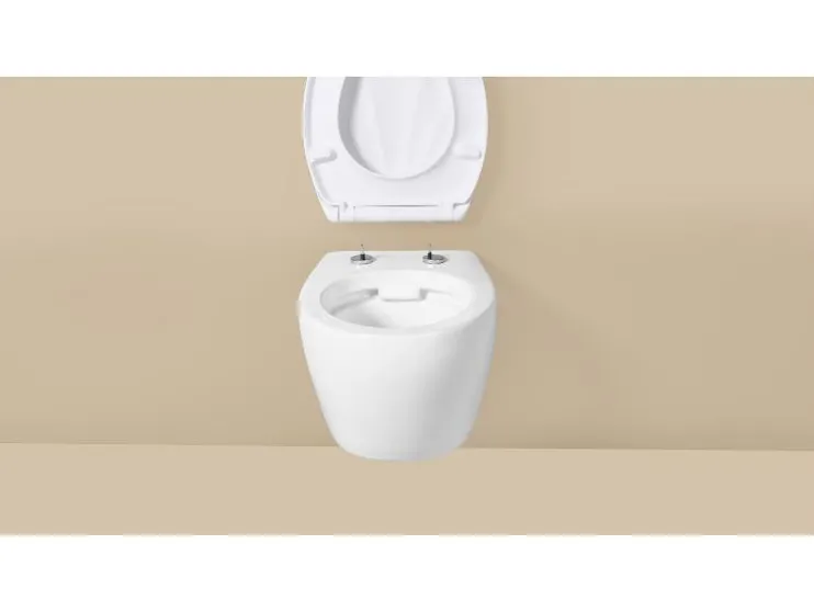 Asiento de inodoro de duroplástico
