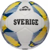 Balón Copa Mundial de Fútbol