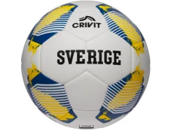 Balón Copa Mundial de Fútbol