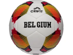 Balón Copa Mundial de Fútbol