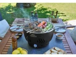 Barbacoa de carbón vegetal »GAG 34 D1« con ventilación activa