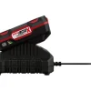 Batería de 20 V »PAP 20 B1« / Cargador de 20 V »PLG 20 C1«
