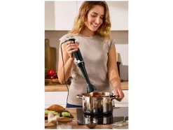 Batidora de mano »SSM 350 D1«