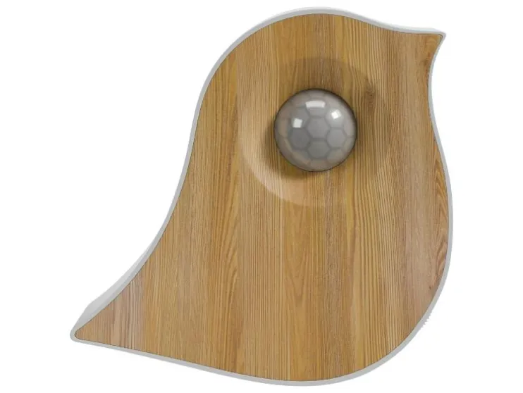 Caja de cantos de pájaros