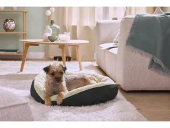 Cama para perros