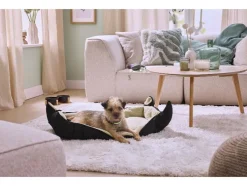 Cama para perros