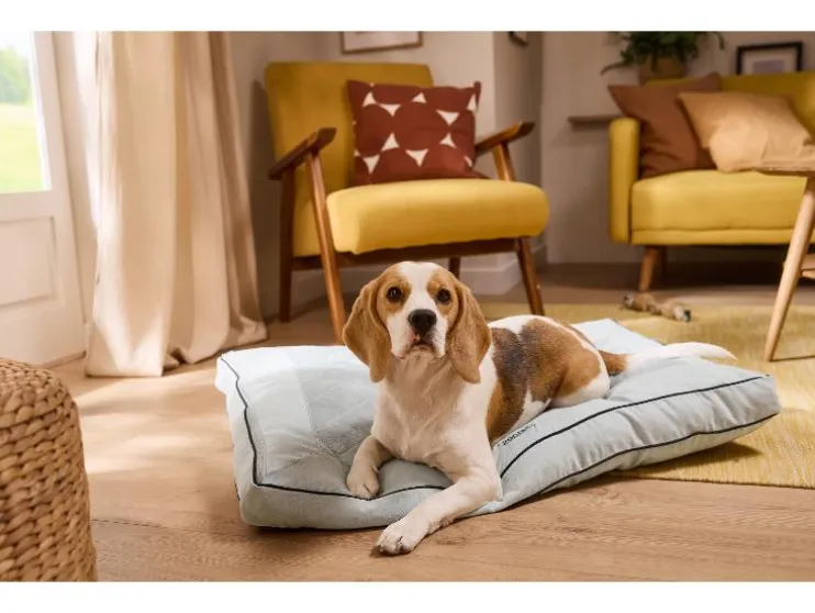 Cama prémium para perro