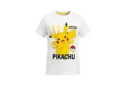 Camiseta »Minecraft / Pokémon«