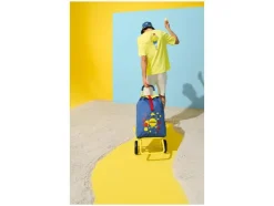 Carro de compra