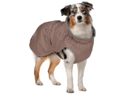 Chubasquero para perro