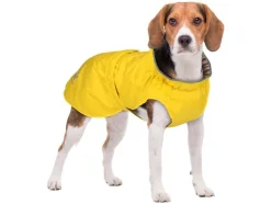 Chubasquero para perro