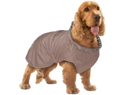 Chubasquero para perro