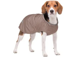 Chubasquero para perro