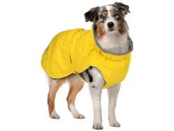Chubasquero para perro
