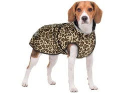 Chubasquero para perros