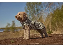 Chubasquero para perros