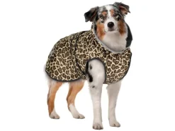 Chubasquero para perros