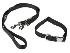 Collar para perro con correa