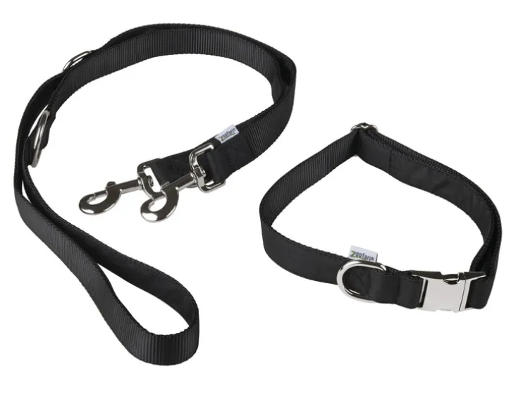 Collar para perro con correa