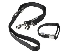 Collar para perro con correa