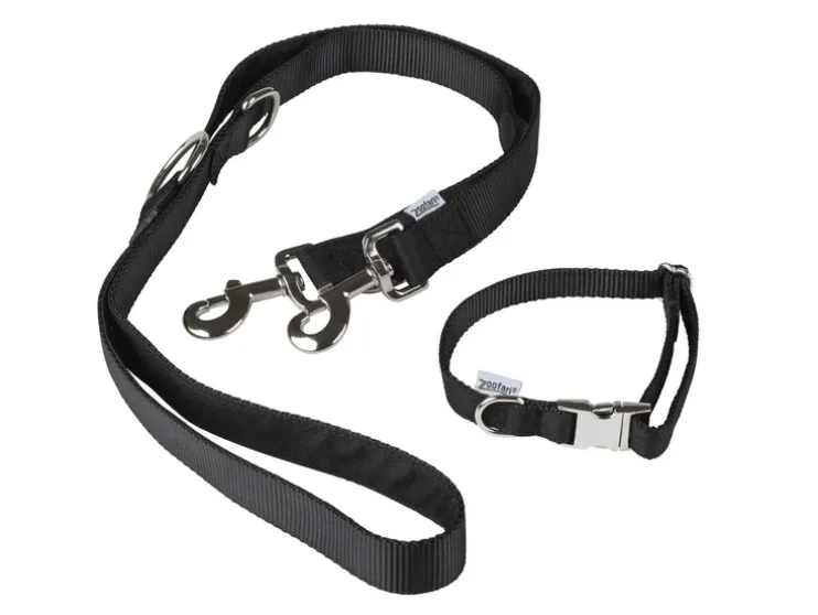 Collar para perro con correa