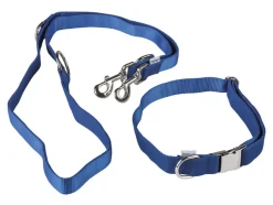 Collar para perro con correa
