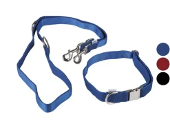 Collar para perro con correa