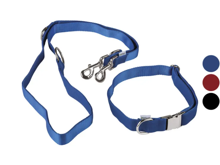 Collar para perro con correa