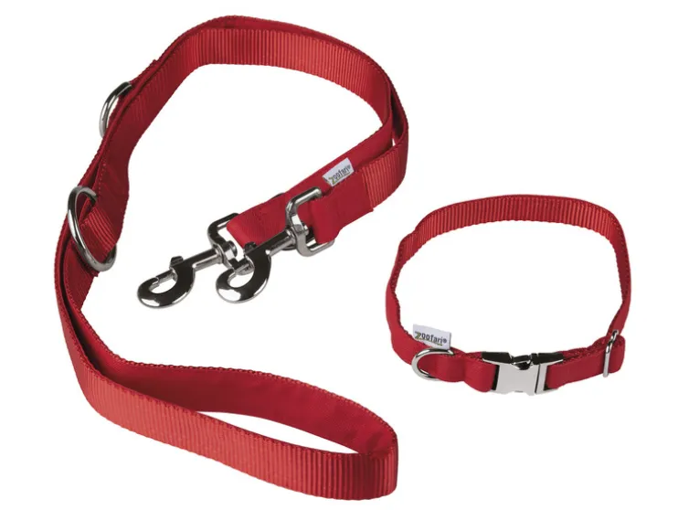 Collar para perro con correa