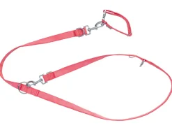 Collar y correa para perro