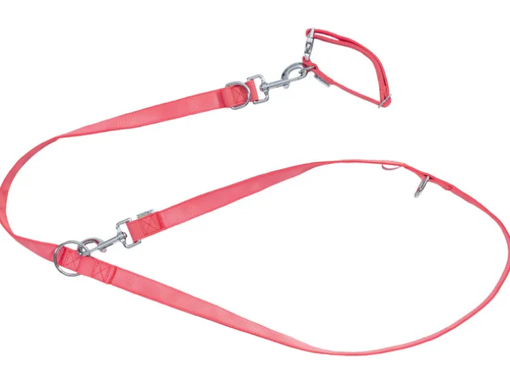 Collar y correa para perro