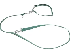 Collar y correa para perro