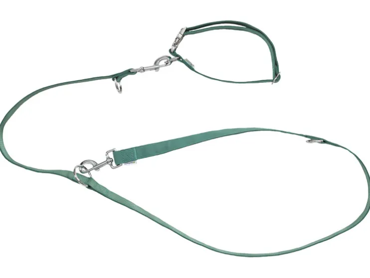 Collar y correa para perro