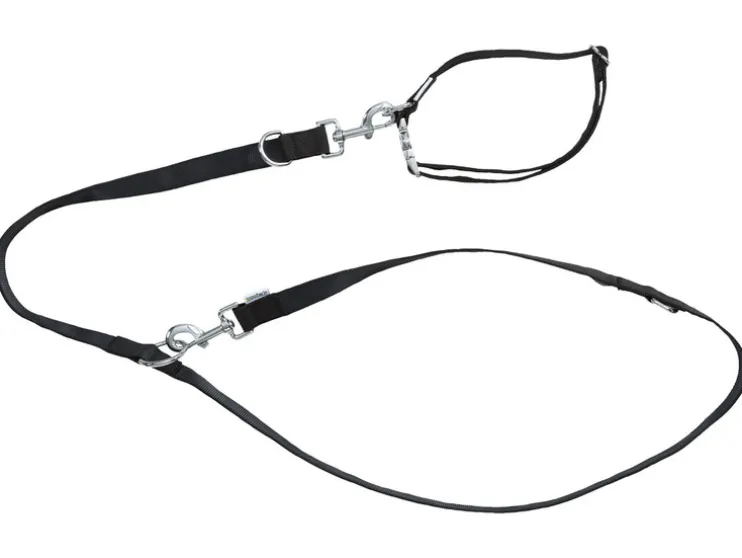 Collar y correa para perro