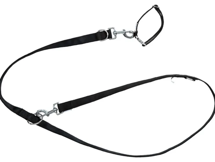 Collar y correa para perro