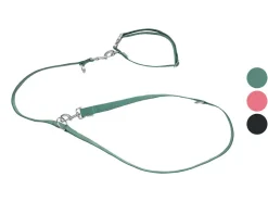 Collar y correa para perro